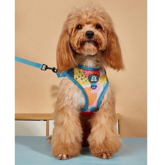 A Small Pet Harness Blue Multicolor + Leash - Picture 2 of 12